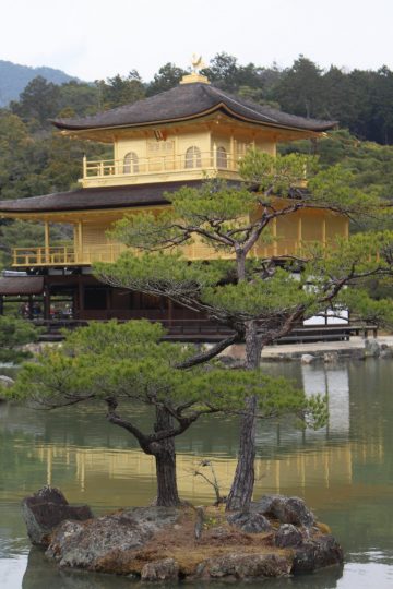 היום החמישי ביפן: קיוטו – מקדש הזהב ויער הבמבוקים